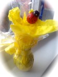 Mementoes: Daffodil bulbs...sunny, bright, reminding us of self-renewal.